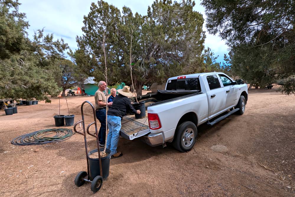 M&D Trees - Doug loading trees in a customers truck
