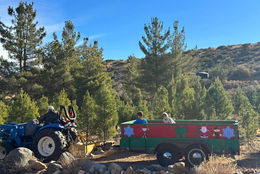 Hay Ride at Annual Cut Your Own Christmas Tree Event at M&D Trees
